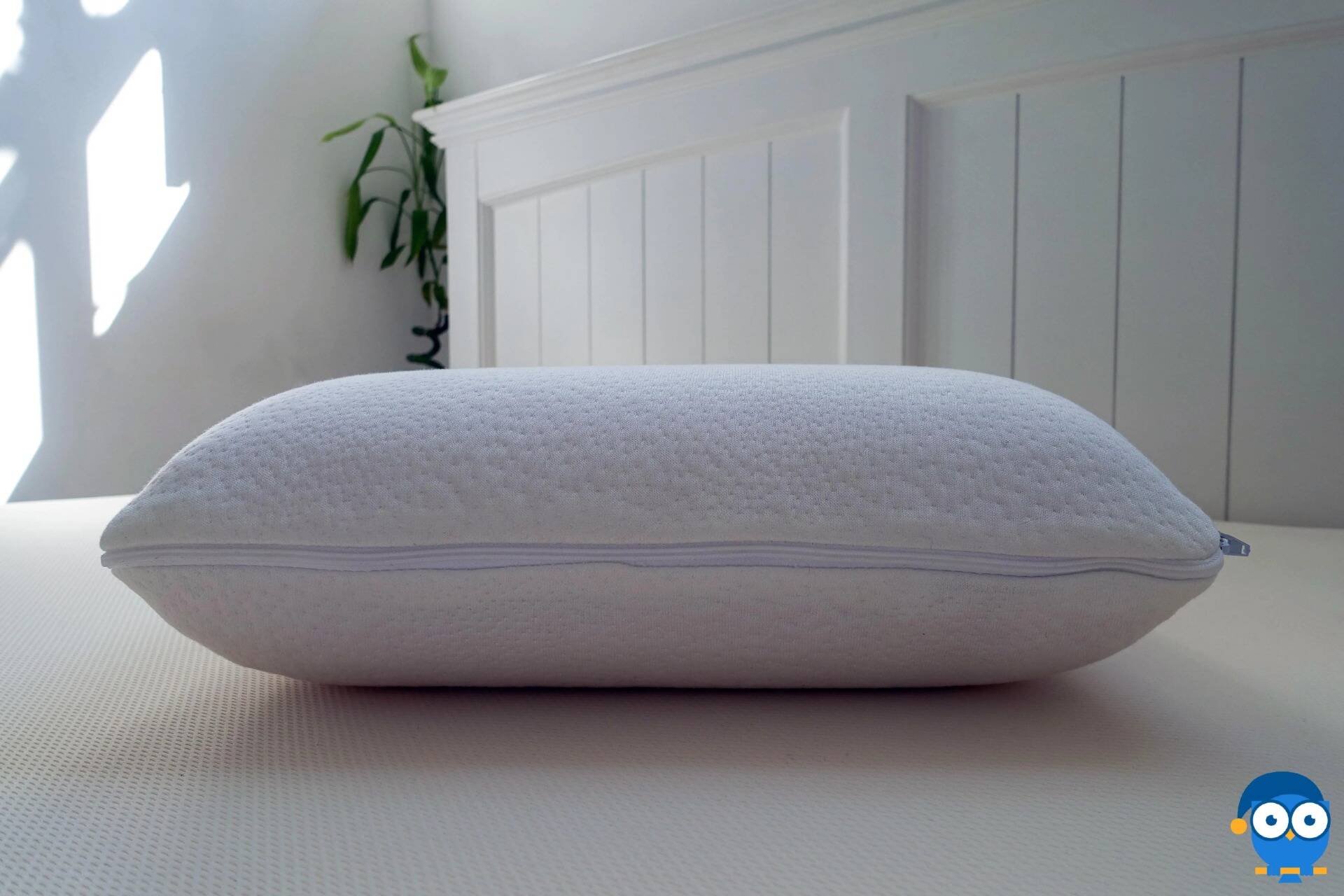 Panda luxury memory 2024 foam bamboo pillow review